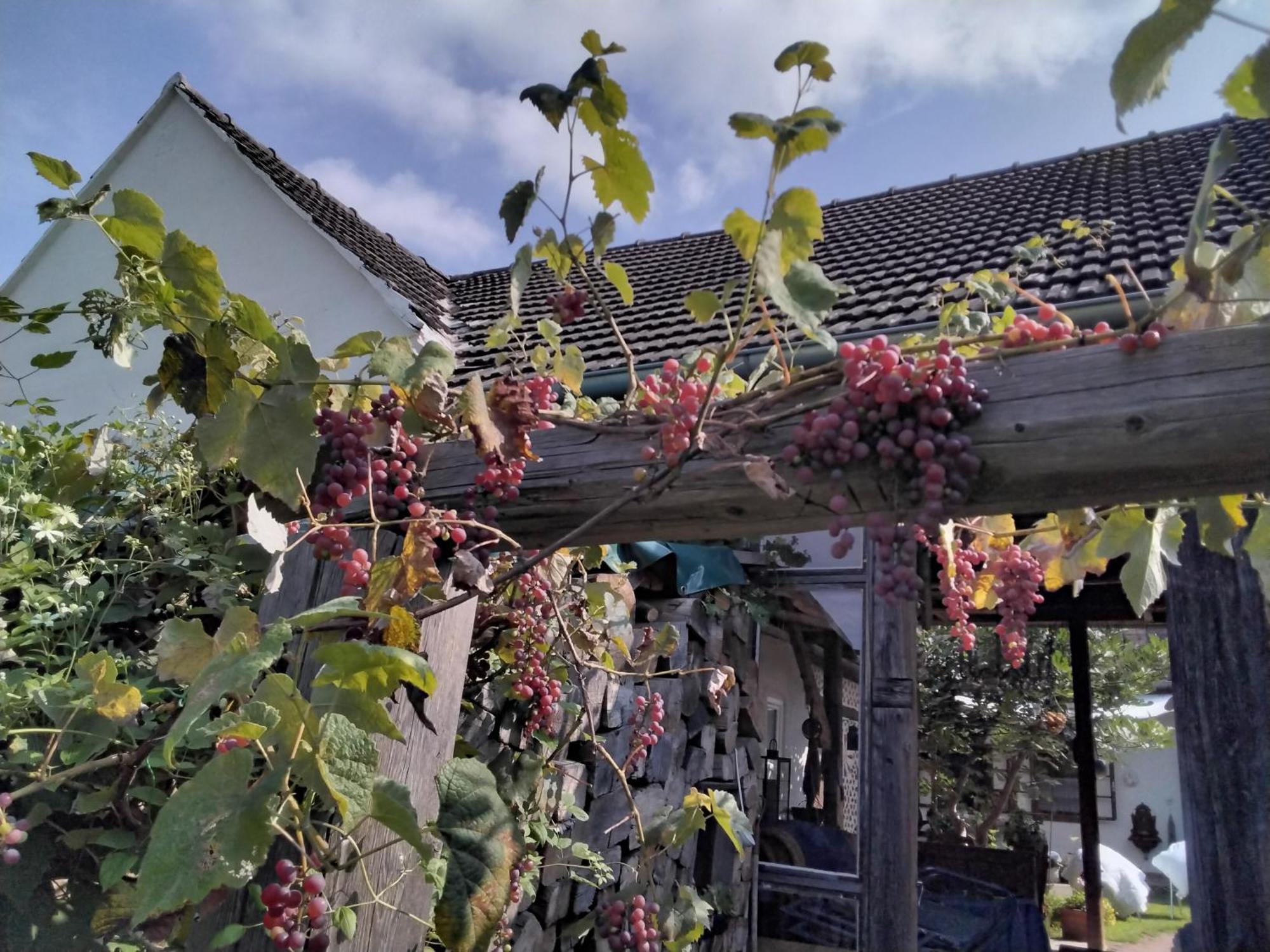 Gemuetlichkeit Am Vierkanthof - 1