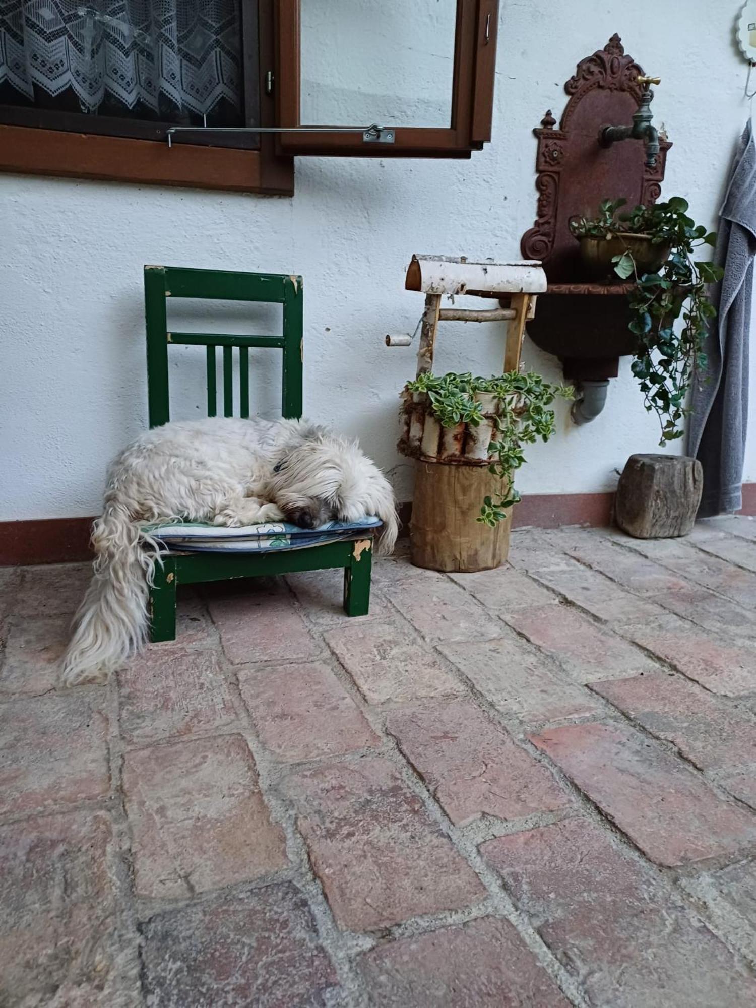 Gemuetlichkeit Am Vierkanthof - 1 *